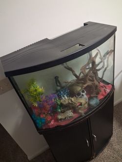 40 gal fish tank and everything included
