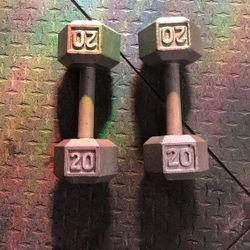 Dumbbells 25 Lb Weights