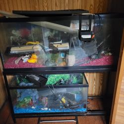 Fish Tanks