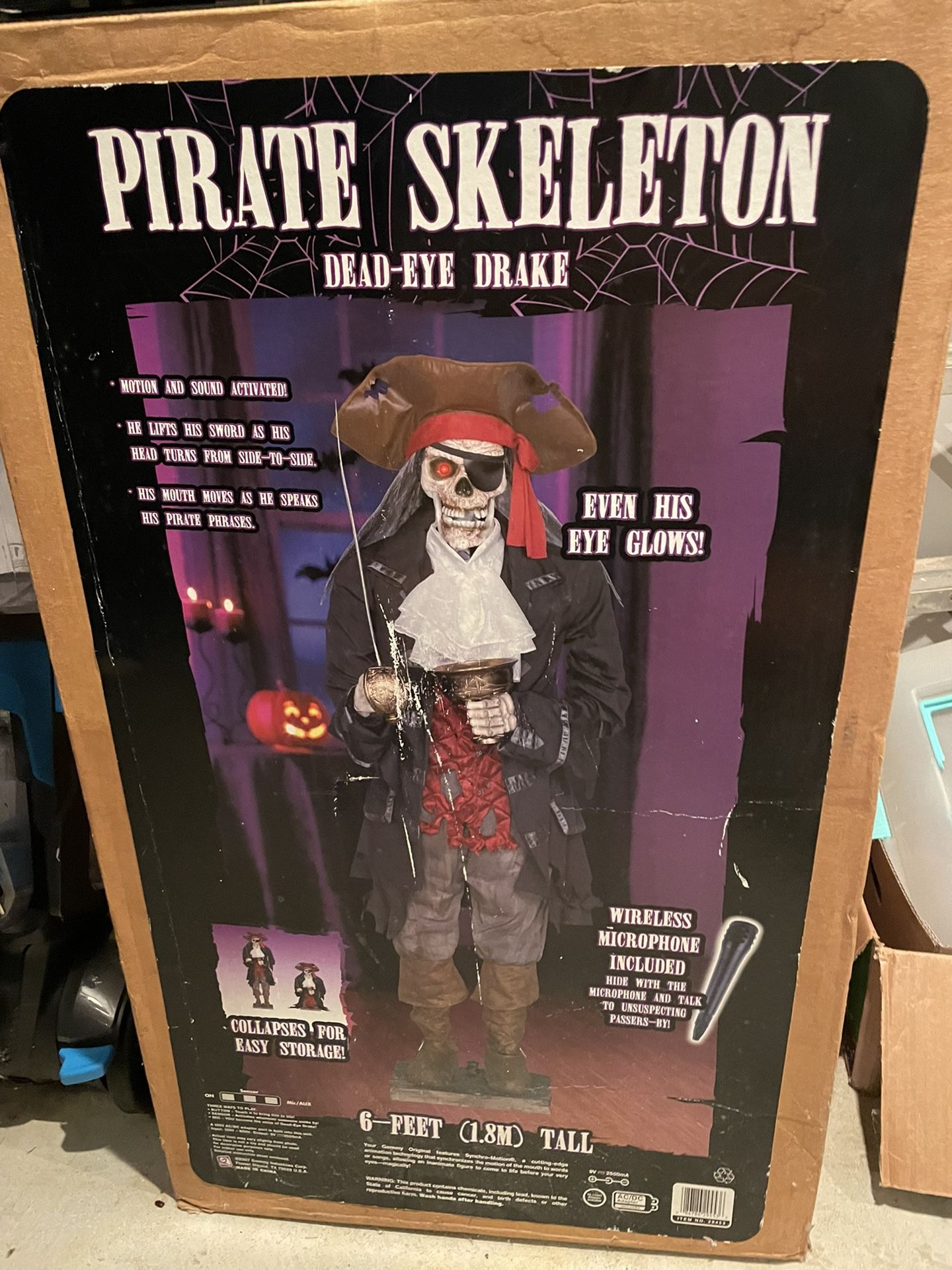 Pirate Skeleton
