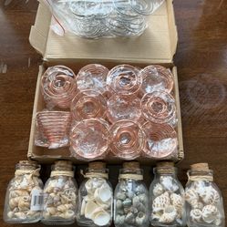 Air Plant Accessories Or Crafting Accessories 