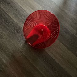 Unused Small Animal Wheel