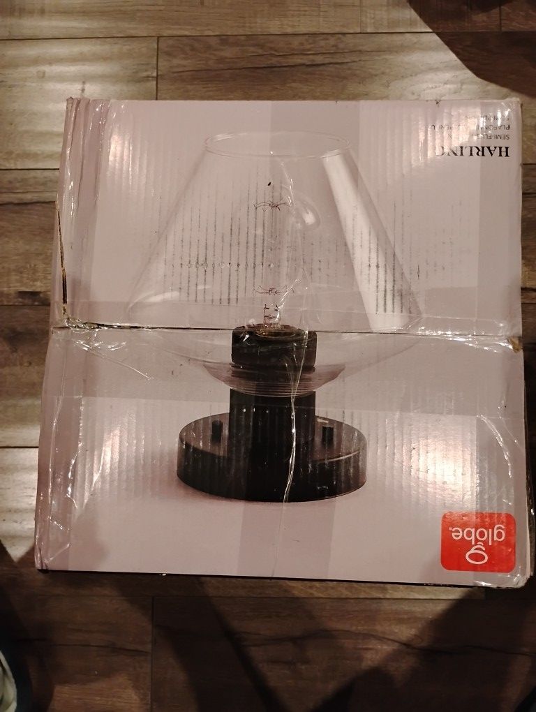 Globe Lamp