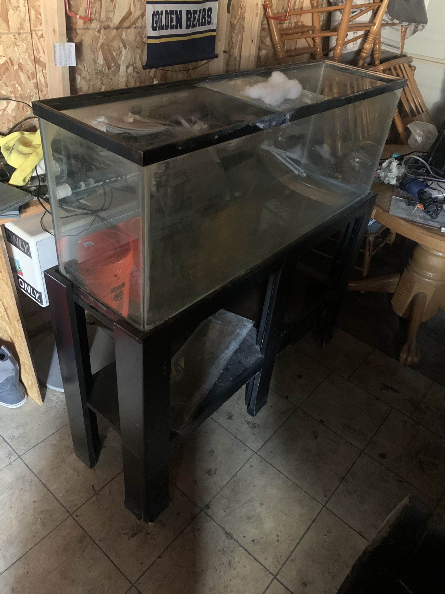 Fish tank and stand with extras