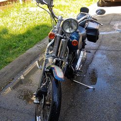 1992 custom Softail Harley Davidson