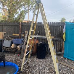 Werner 12 Foot  A Frame Ladder