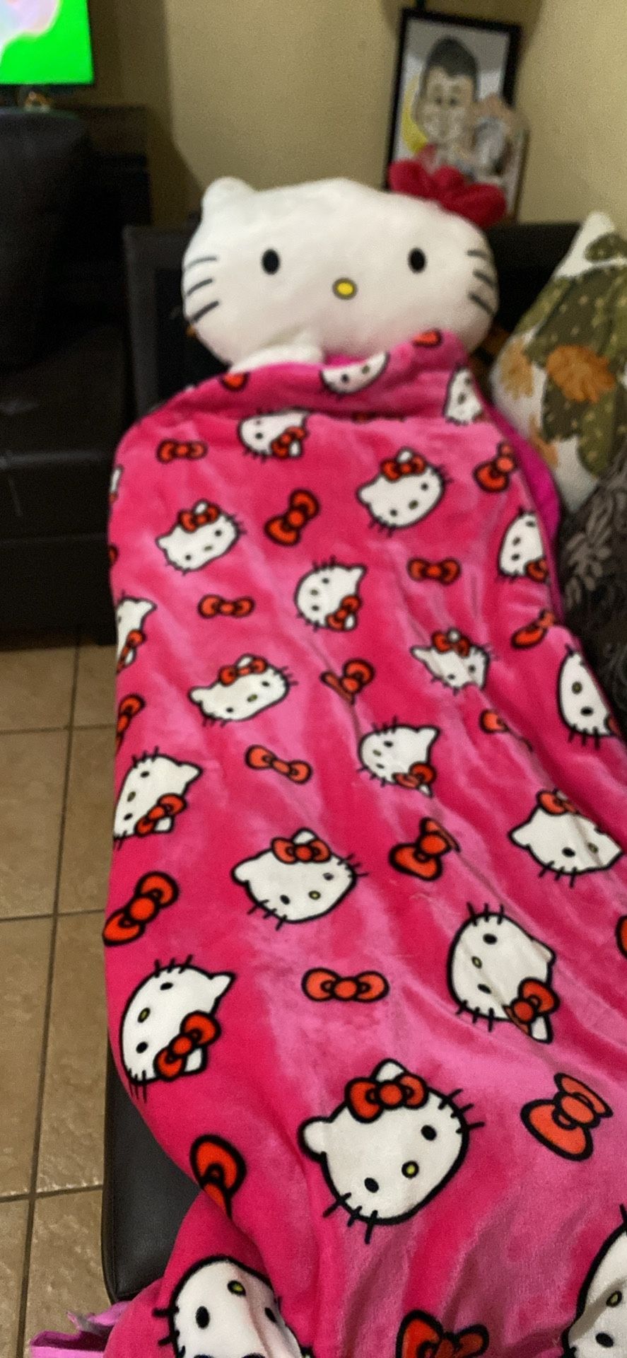 Hello Kitty Sleeping Bag