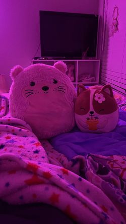 Stuffed animals for sale