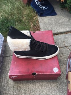 Arizona insulates shoes