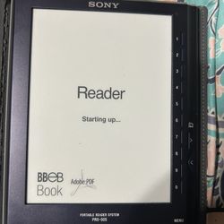 Portable Reader System 