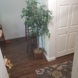 Fake Plant