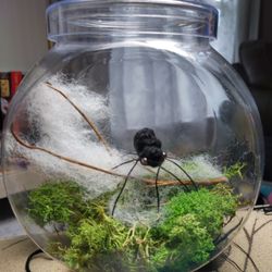 Crochet Spider In Terrarium 