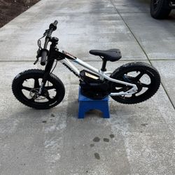 Stacyc 18 Launch Edition