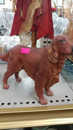 Dog Miniature