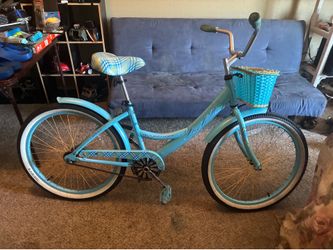 Aluminum bike