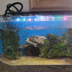 Aquarium For Sale 30 Gallon