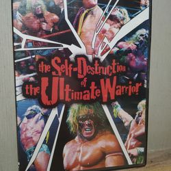 📀 WWE self destruction