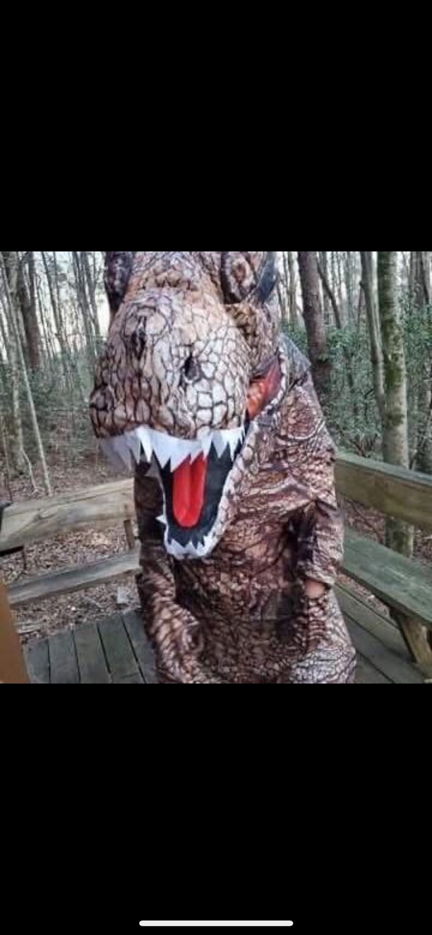 Dinosaur Suit