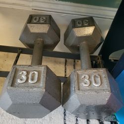 Set of 30 Lb Steel Dumbbells 
