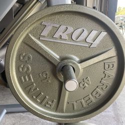 240 Lb Of Commercial Troy Barbell Fitness Olympic Weight Plates In Near New Condition- 