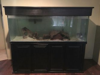 200 gallon fish tank comes with everything