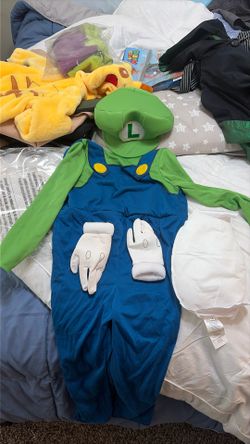 3T Luigi Costume