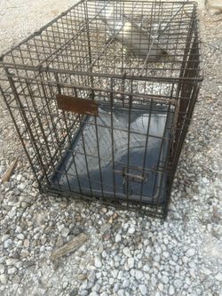 small dog cage