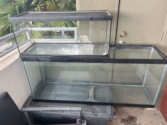 Fish tank and reptile cage