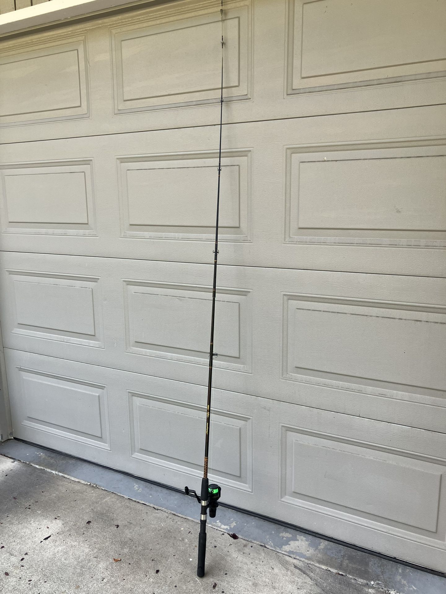 Fishing Rod And Reel