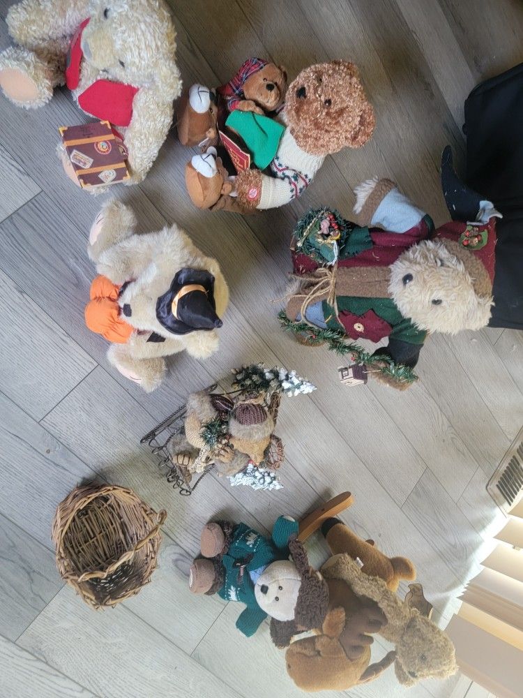 Bears