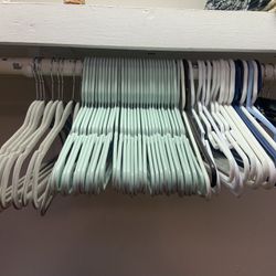 ~60 Plastic & Metal Hangers