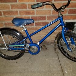 ATTN PRICE REDUCTION Schwinn Pixie Original Bicycle Kids Bike