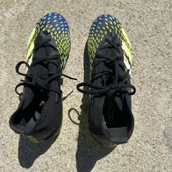 Adidas Predator Soccer Cleat
