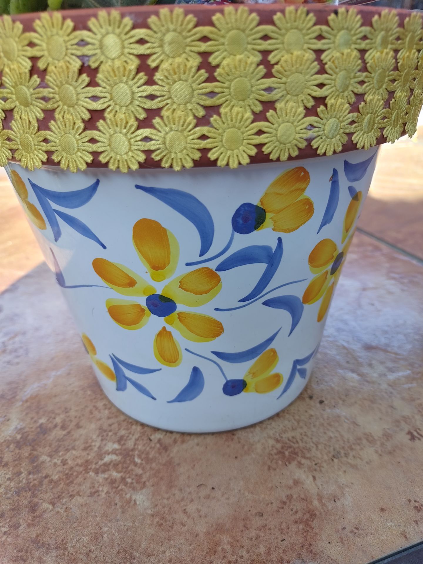 Spring Ceramic Pot Beautiful Succulents ๐ต๐