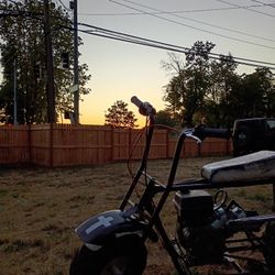 Colman Minibike(Trades Or Buy)