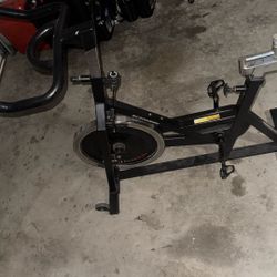 Schwinn Workout Bike