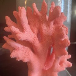 Decorative Coral Stand 