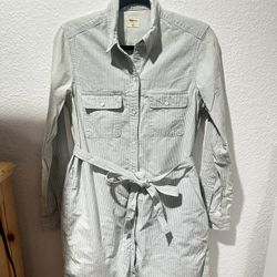 Gap White Striped Blue Collared Dress