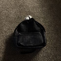 Black Dior Backpack