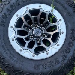 Trx Wheel 