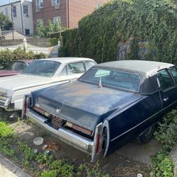 Classic cars For Sale 