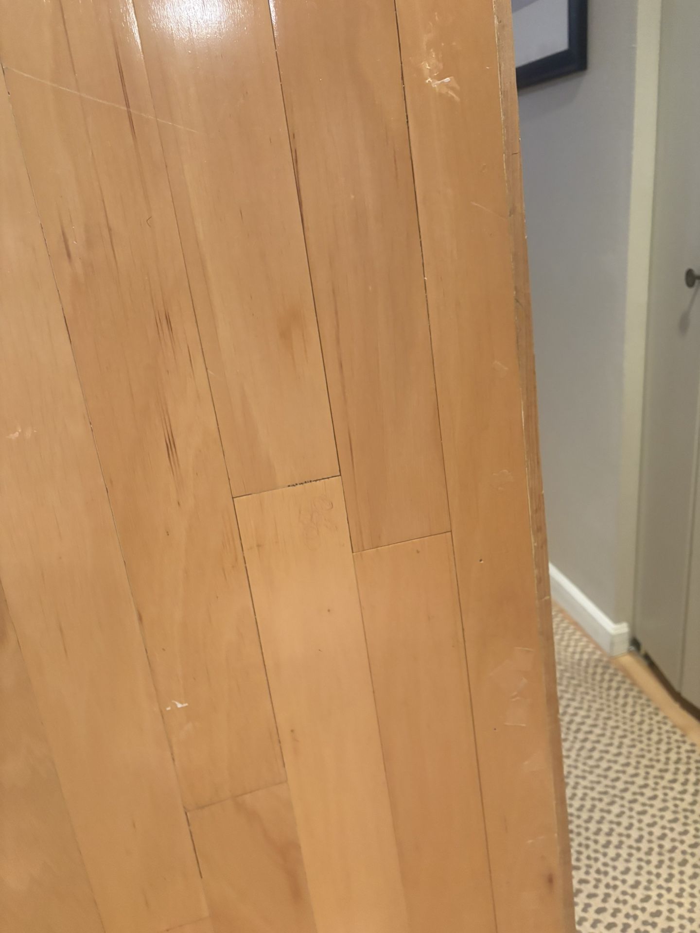 Free - Wood Desk/Table Top/Gym Floor