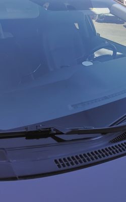 Windshield