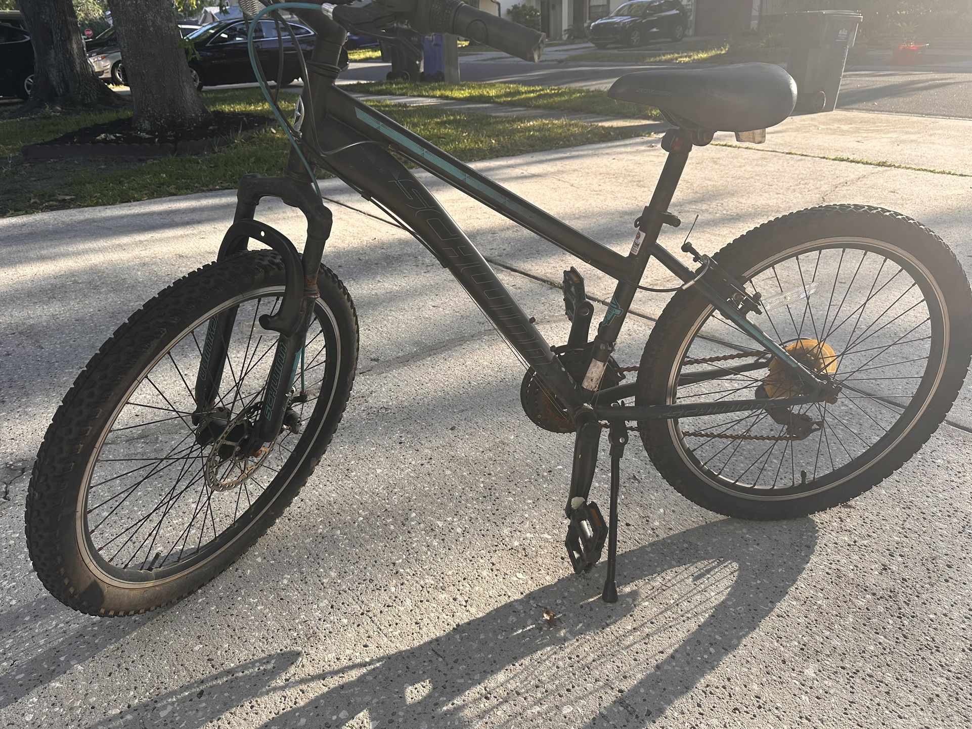 Schwinn Sidewinder Adult Bike