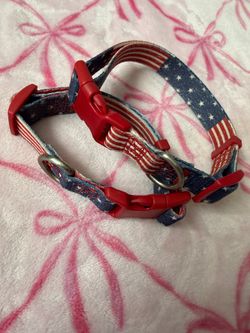 pet collars