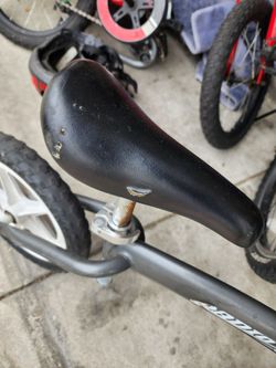 Free radio flyer balance bike