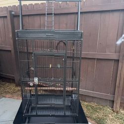 Bird Cage