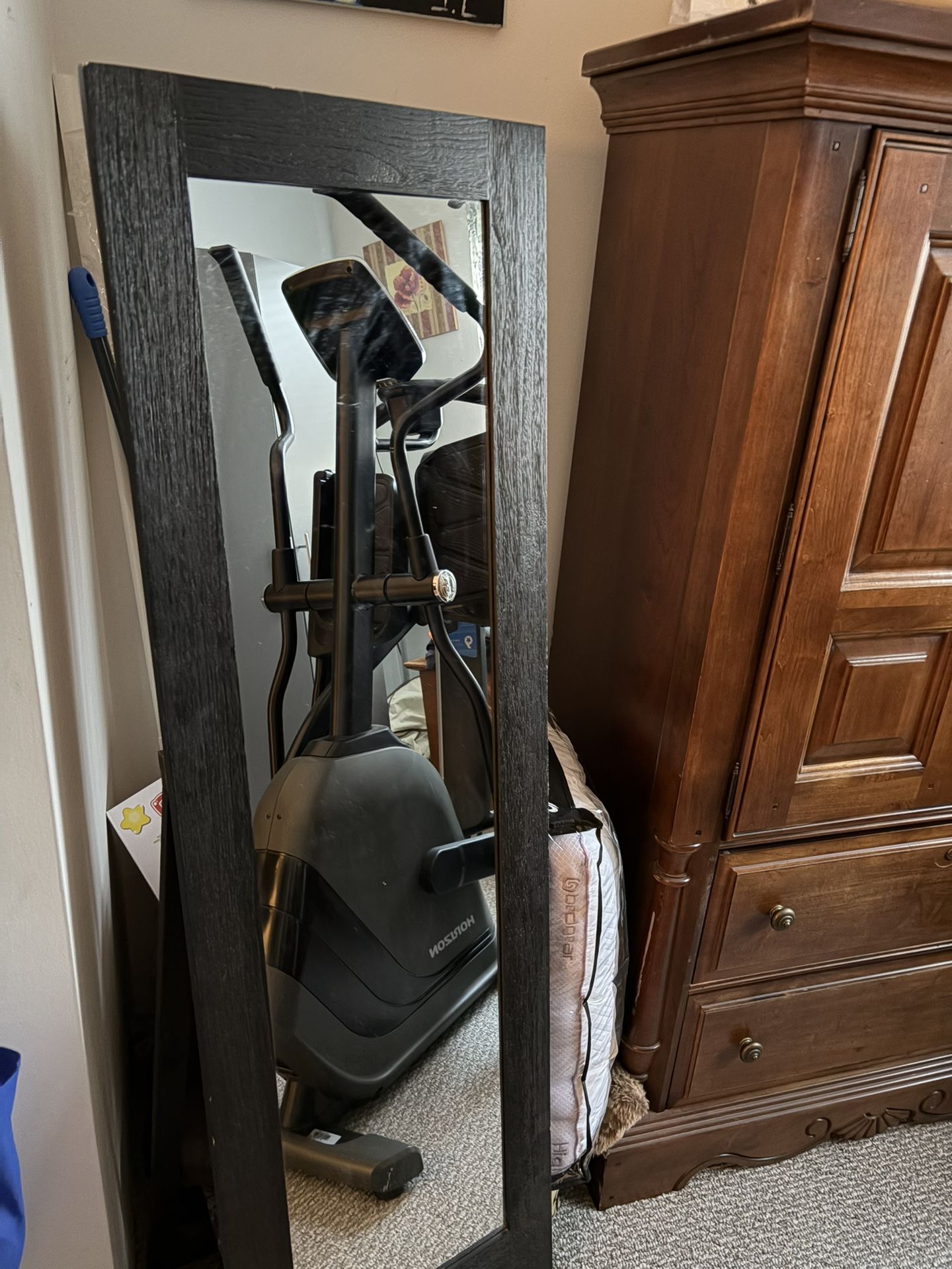 Free Standing Mirror Home Goods , Dark Wood , 17x57