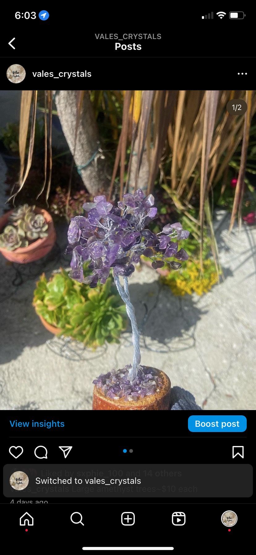 Amethyst Crystal Tree
