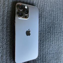 iPhone 13 Pro Max (256GB)